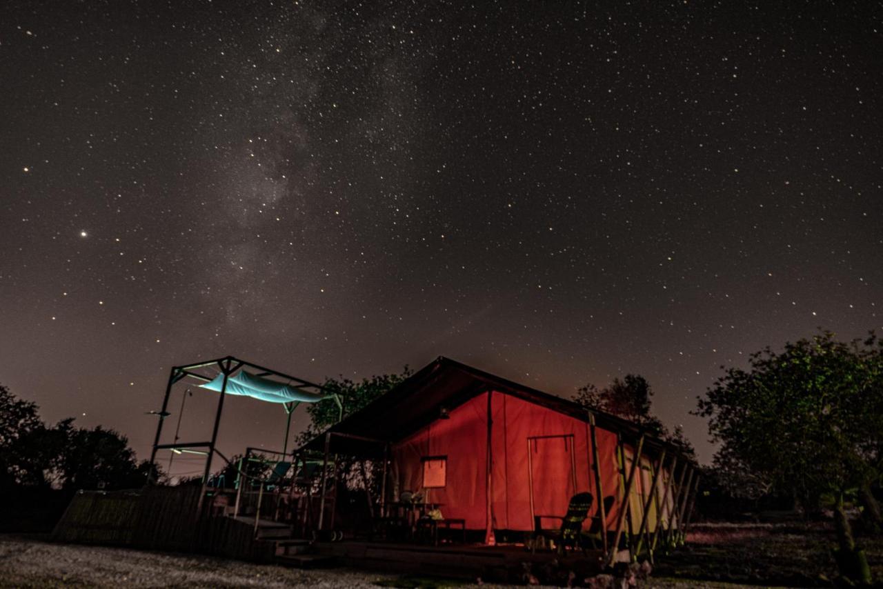 باديرن Ses Quinta Luxury Safari Tents المظهر الخارجي الصورة