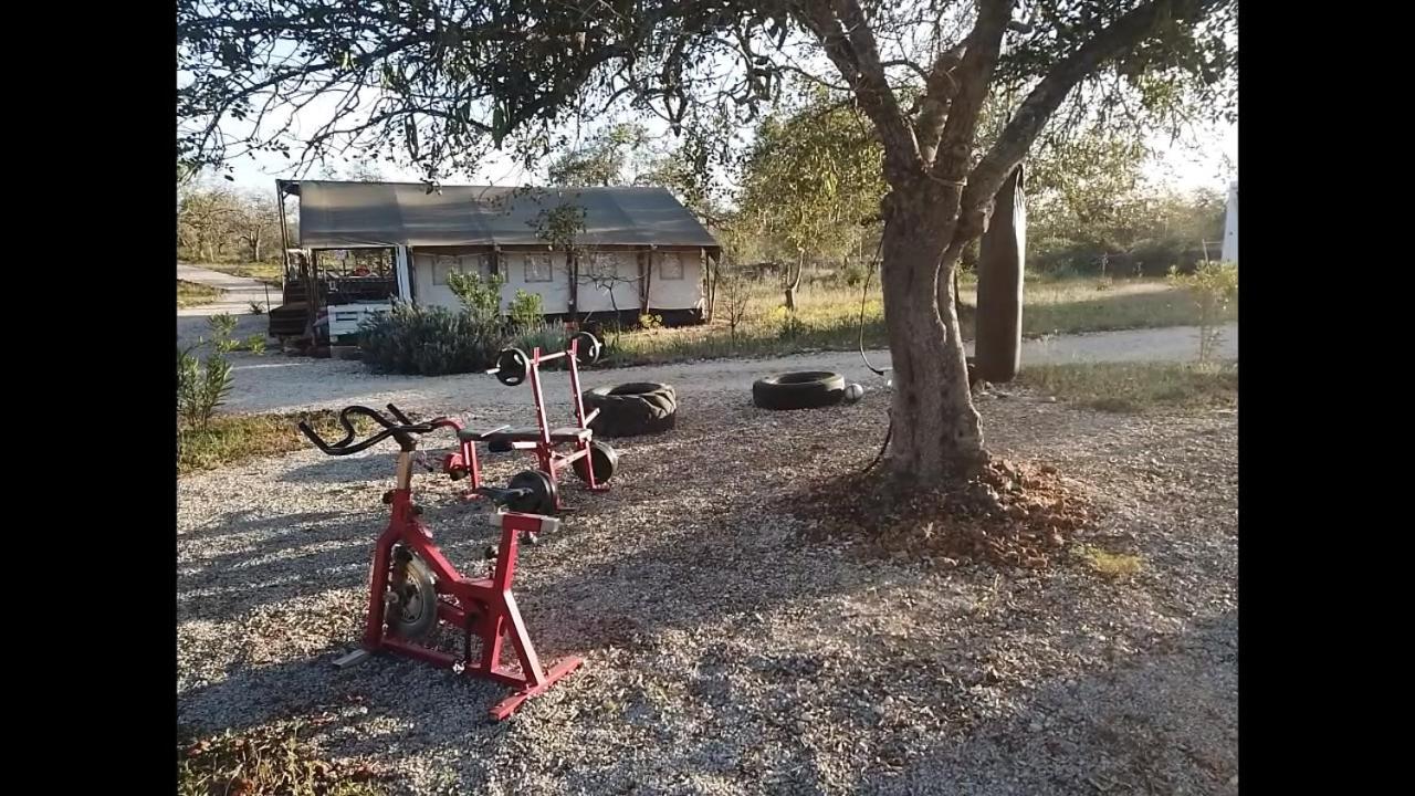 باديرن Ses Quinta Luxury Safari Tents المظهر الخارجي الصورة